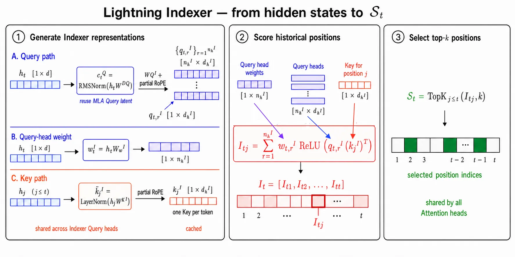 Lightning Indexer 从 hidden state 生成多组 Indexer Query、query-head 权重与共享 Indexer Key，再计算位置分数并通过 top-k 选出稀疏位置集合
